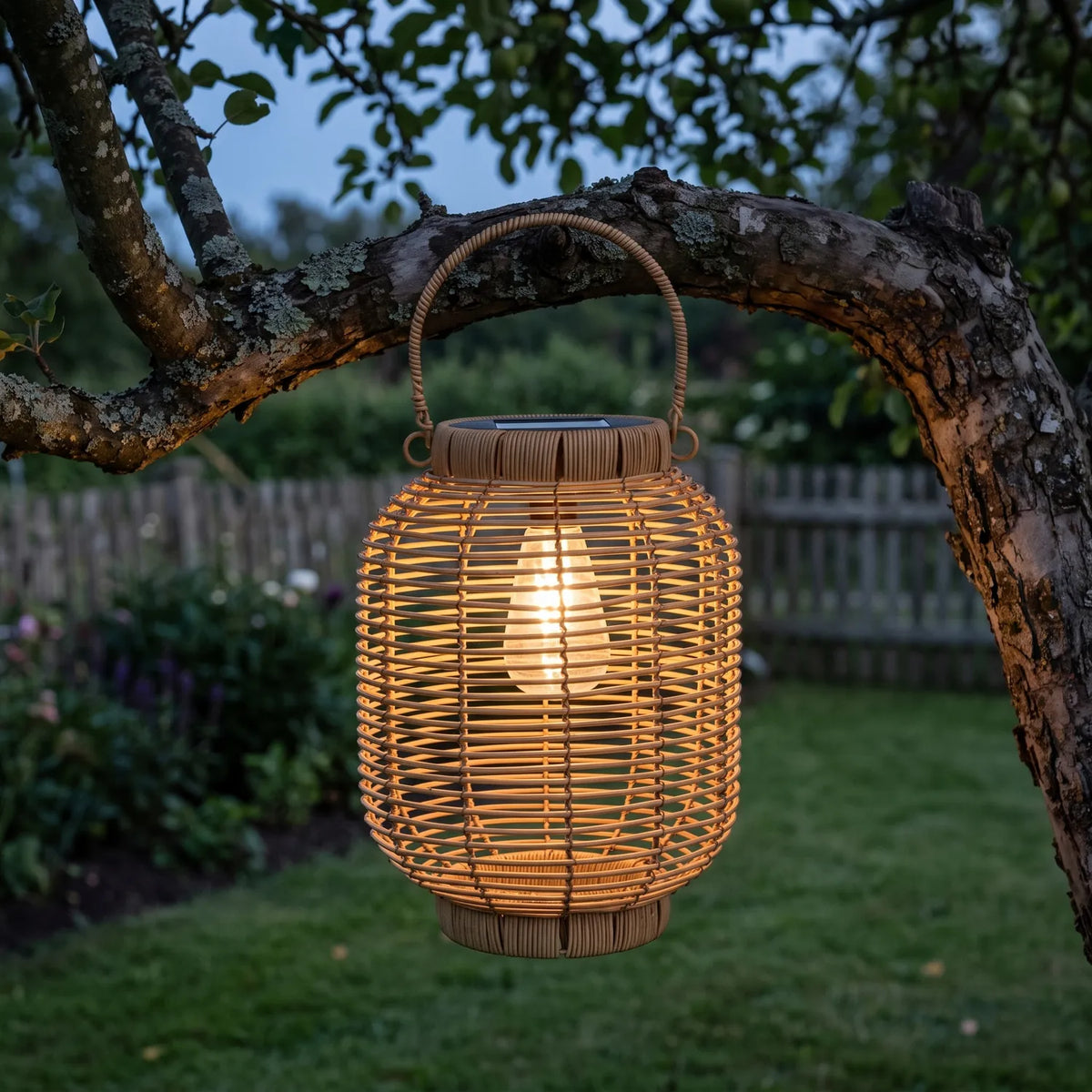 Solar Lantern with Bulb hanging from an apple tree branch at dusk