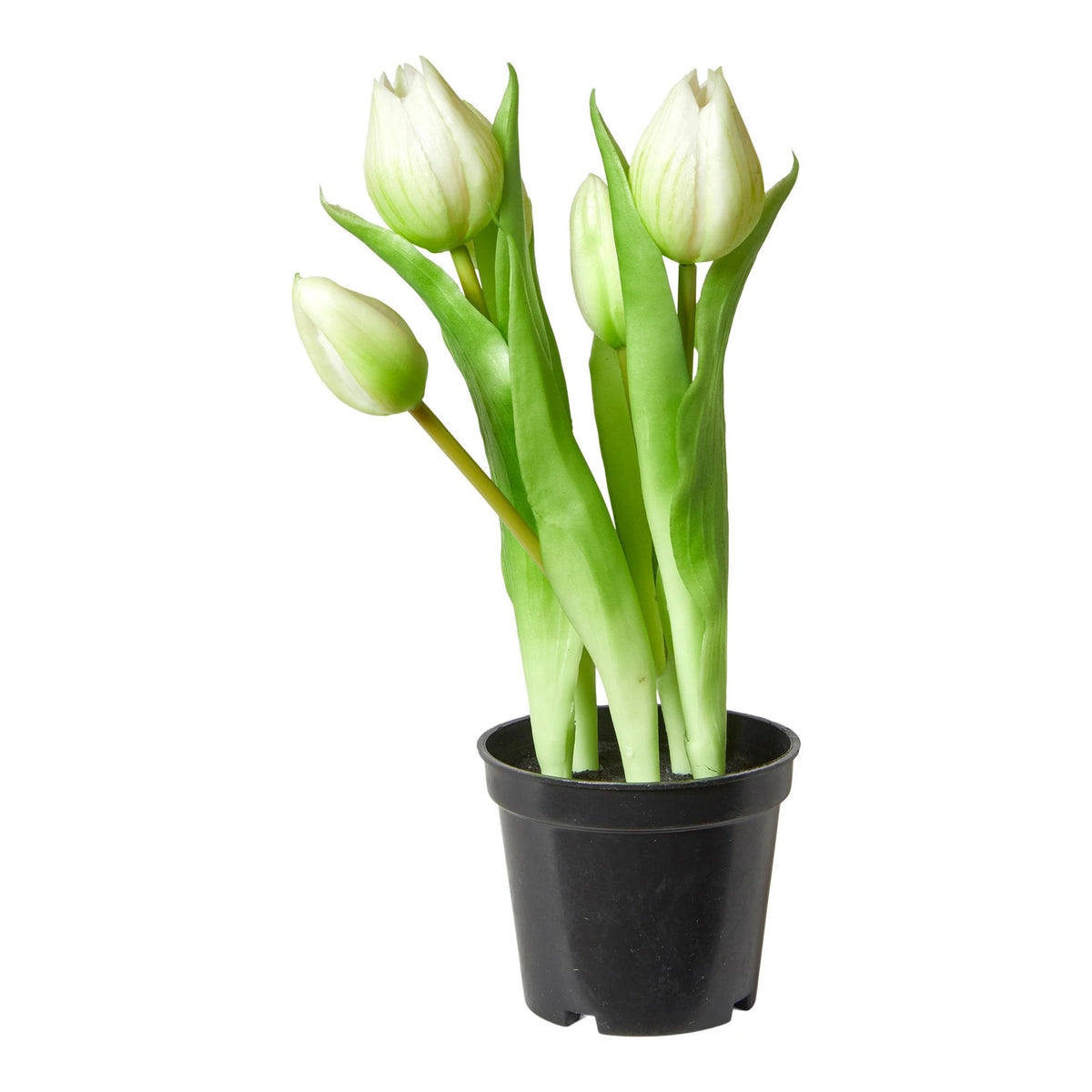 Artificial Tulips in Pot, 5 Stems, H25 cm - White