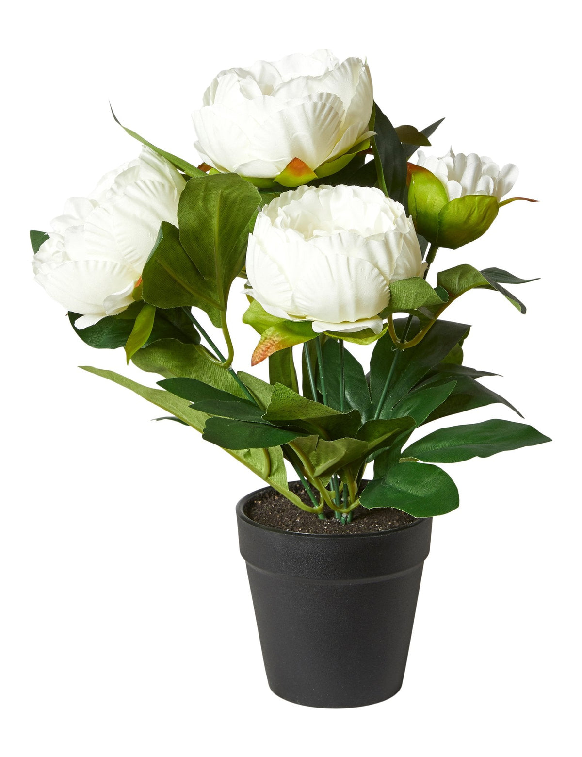Artificial Peony in Pot H31 cm - White