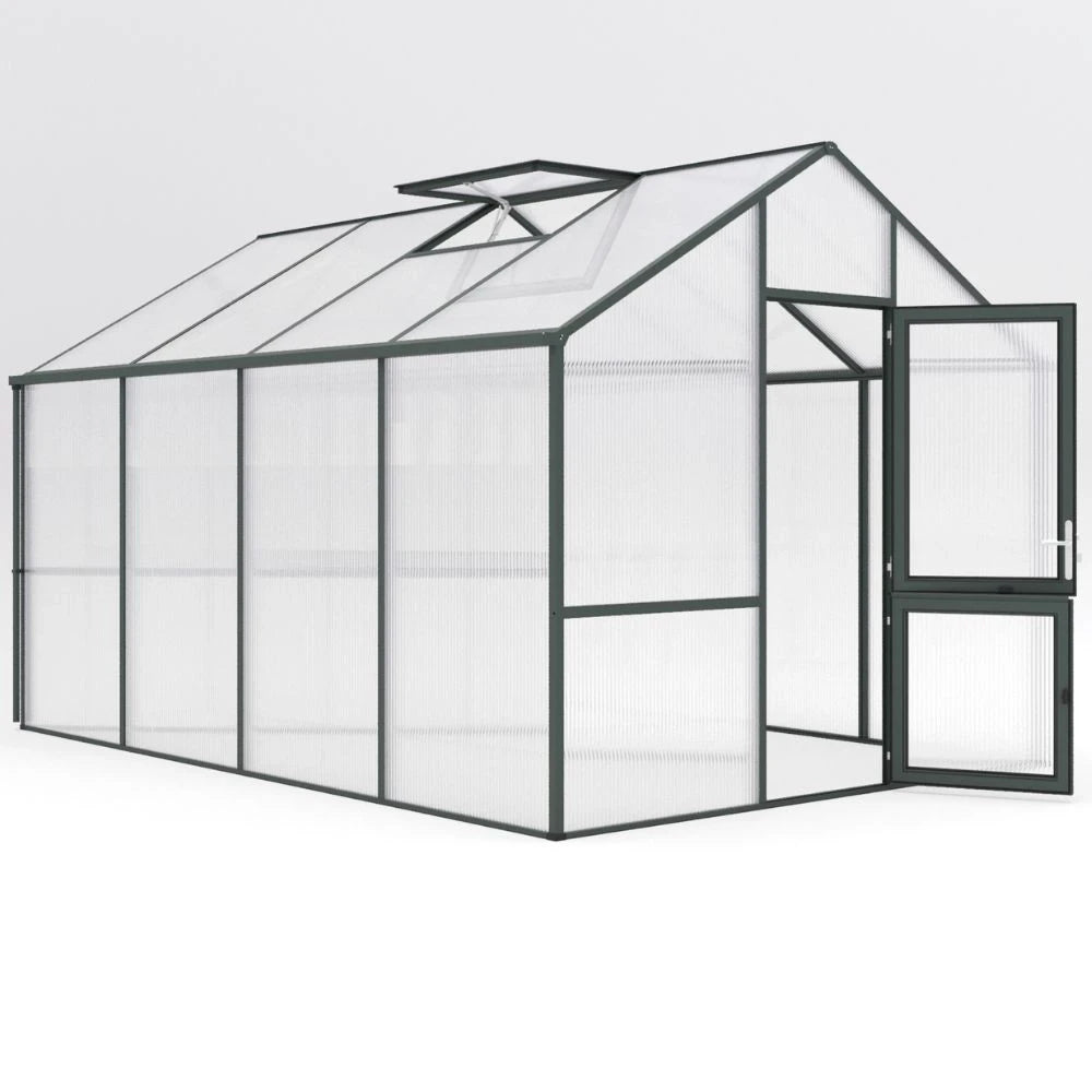 Greenhouse Dahlie IV, fir green