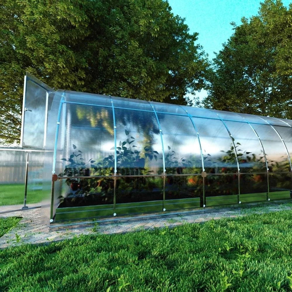TUBE Arch Greenhouse 3 x 12 m (36 m2)