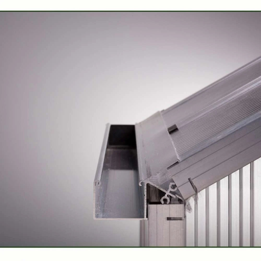 Greenhouse Dahlie IV, blank